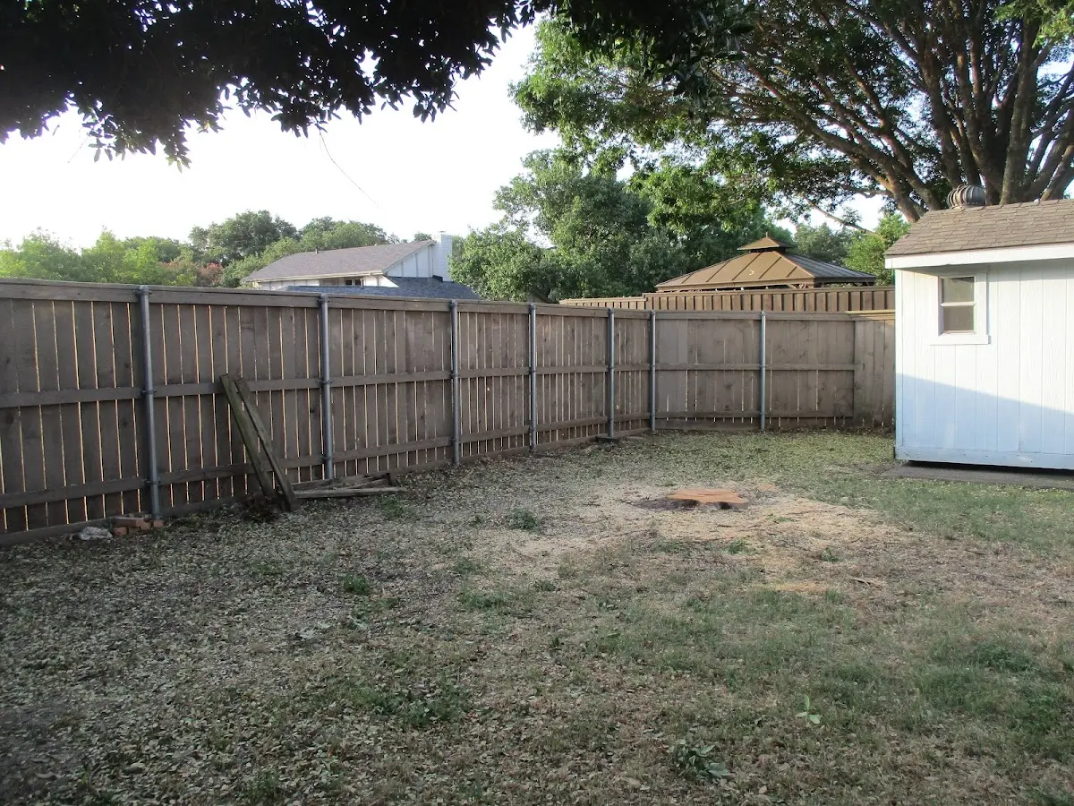 Cleared yard after professional tree removal in Lake Hughes
